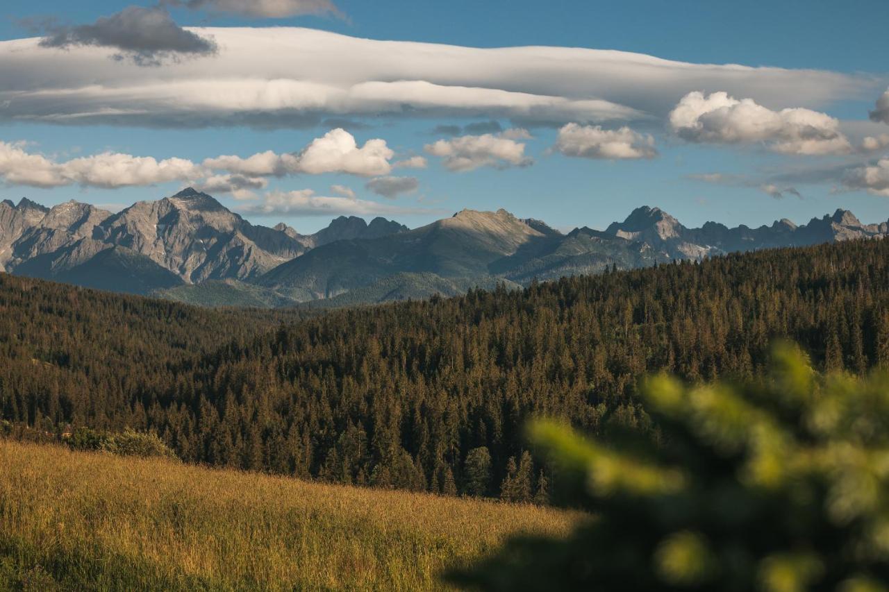 Pod Gontem Lägenhet Bukowina Tatrzańska Exteriör bild
