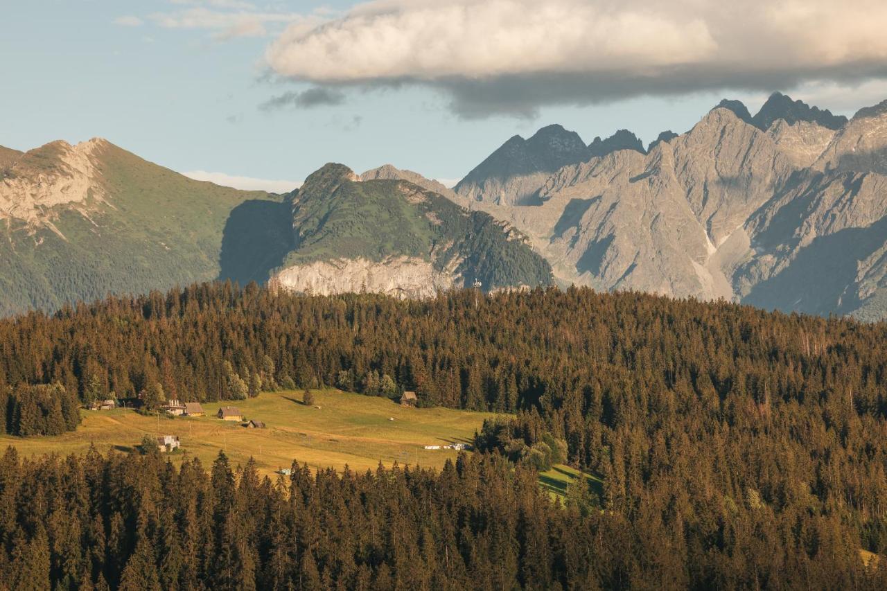 Pod Gontem Lägenhet Bukowina Tatrzańska Exteriör bild