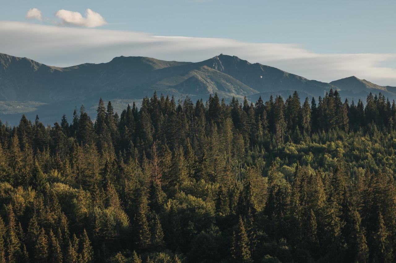 Pod Gontem Lägenhet Bukowina Tatrzańska Exteriör bild