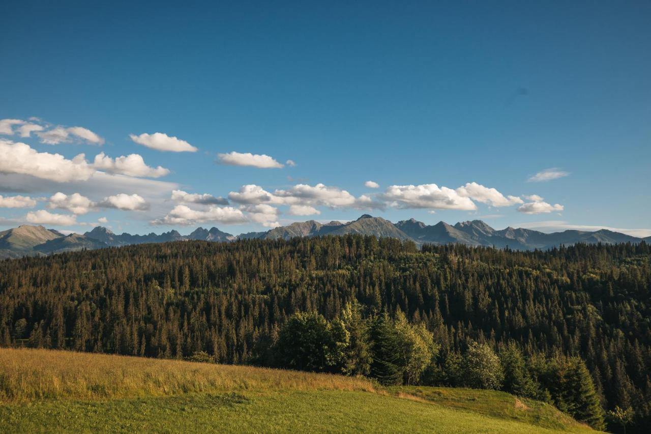 Pod Gontem Lägenhet Bukowina Tatrzańska Exteriör bild