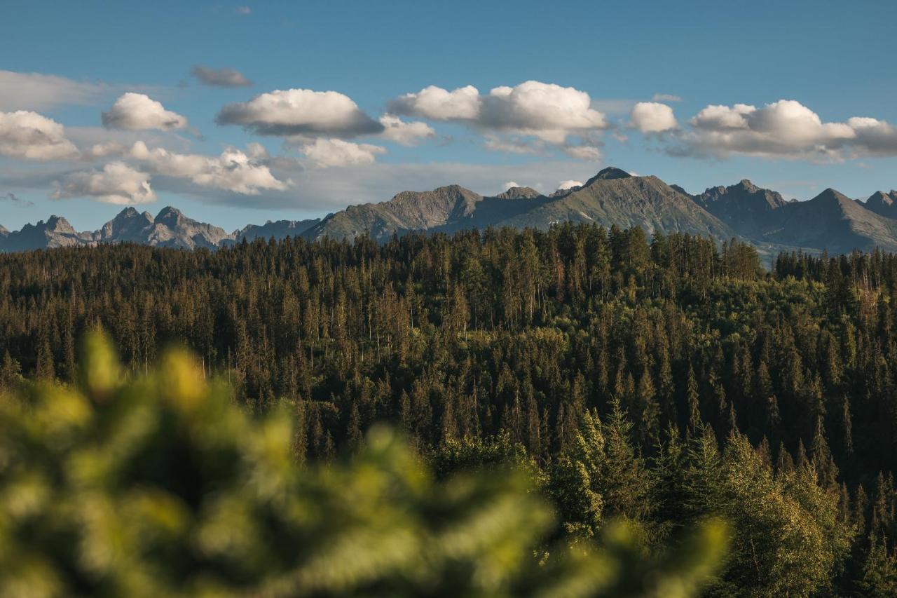 Pod Gontem Lägenhet Bukowina Tatrzańska Exteriör bild